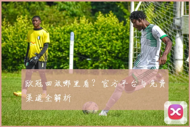 欧冠回放哪里看？官方平台与免费渠道全解析