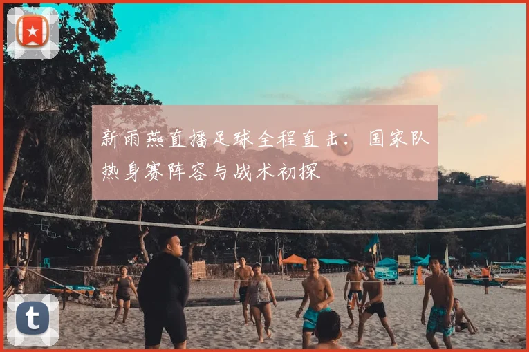 新雨燕直播足球全程直击：国家队热身赛阵容与战术初探